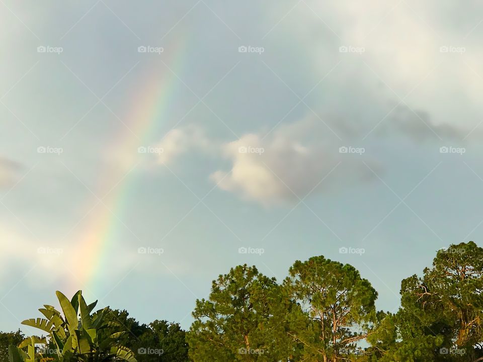 Tropical rainbow.