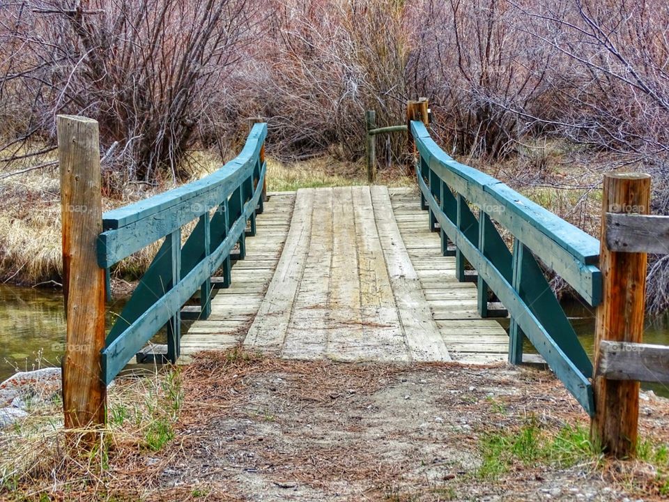 Bridge. Bridge crossed while on a hike in Buena Vista  Colorado 