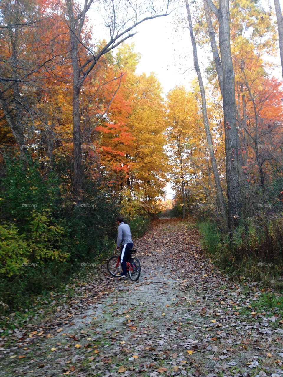 Fall bike ride 