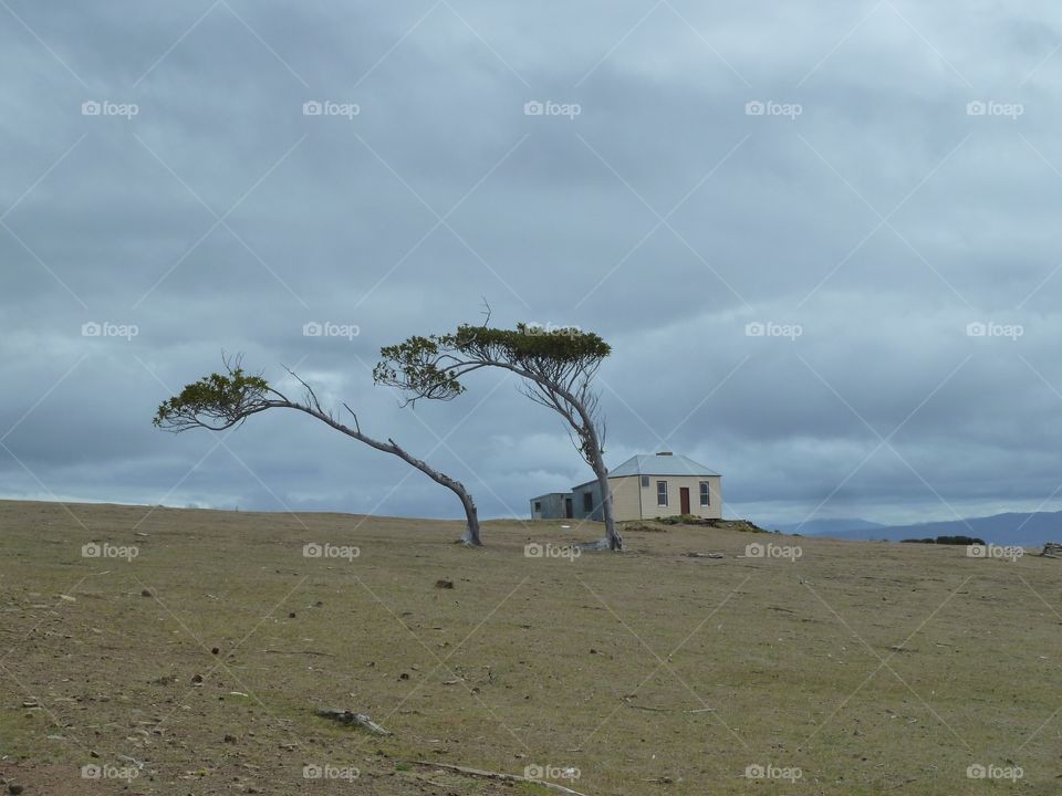 Beautiful tasmania 