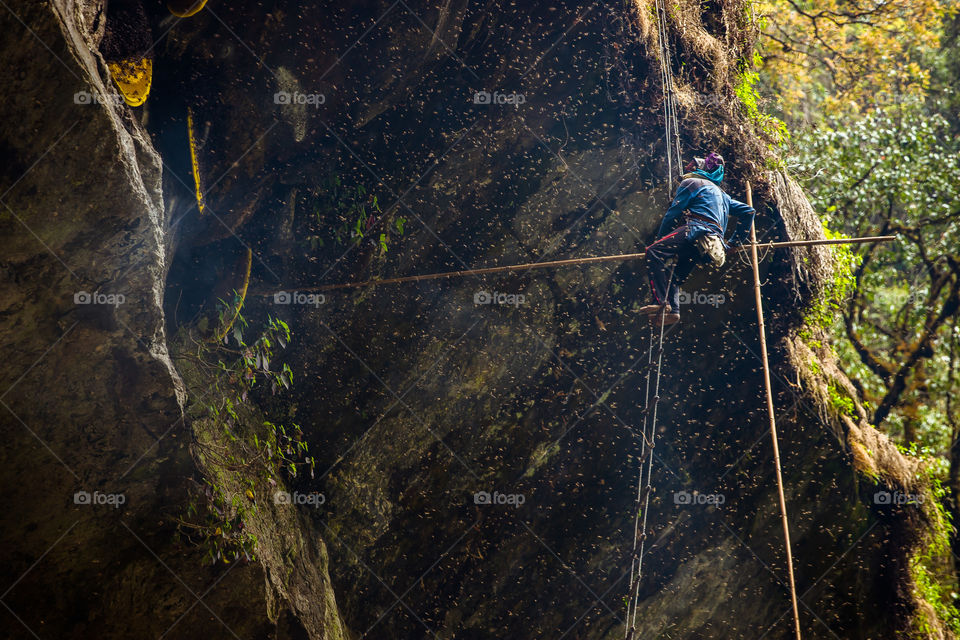 Struggle of honey hunter at Pokhara, Nepal 