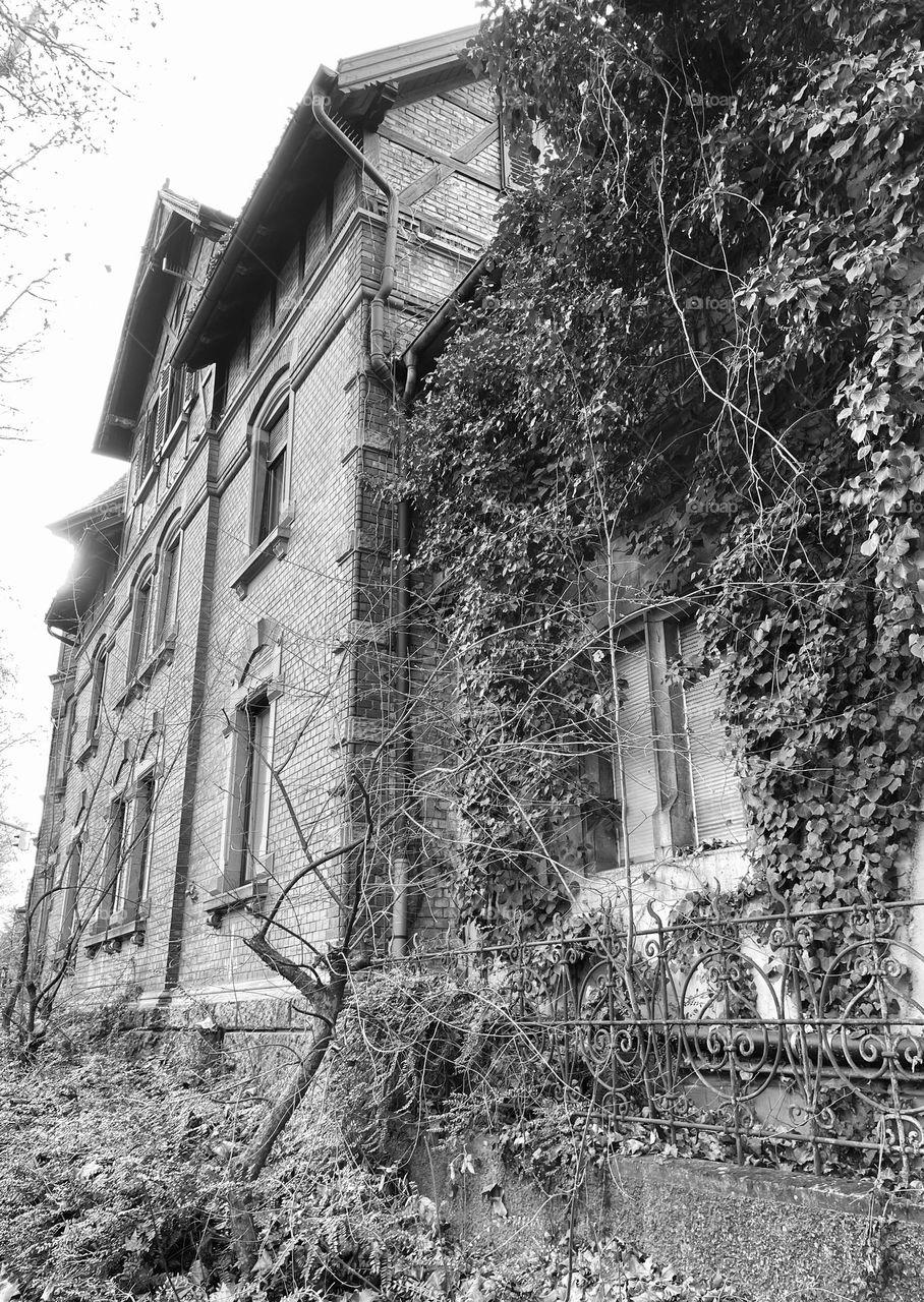 “Give me an old house full of memories and I will give you hundred novels!” Mehmet Murat ildan