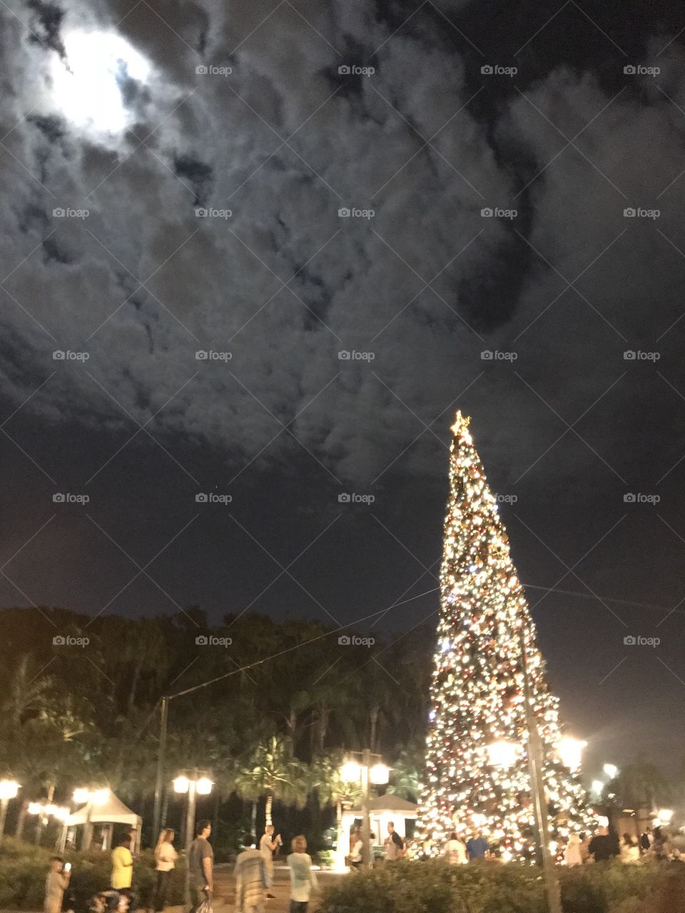 Christmas tree and moon