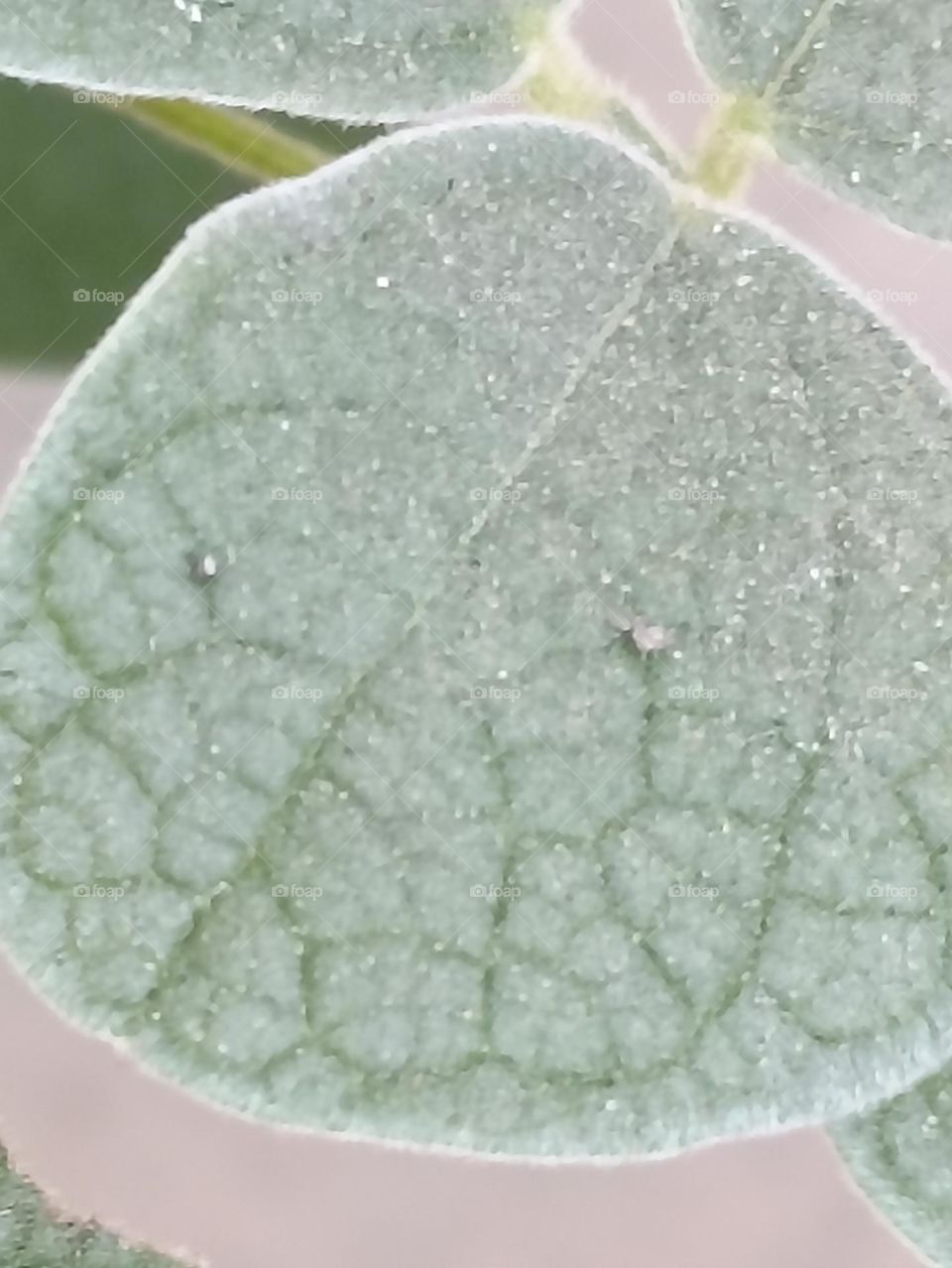 nature has many colors