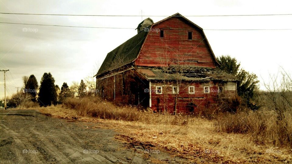 Roadside Barn