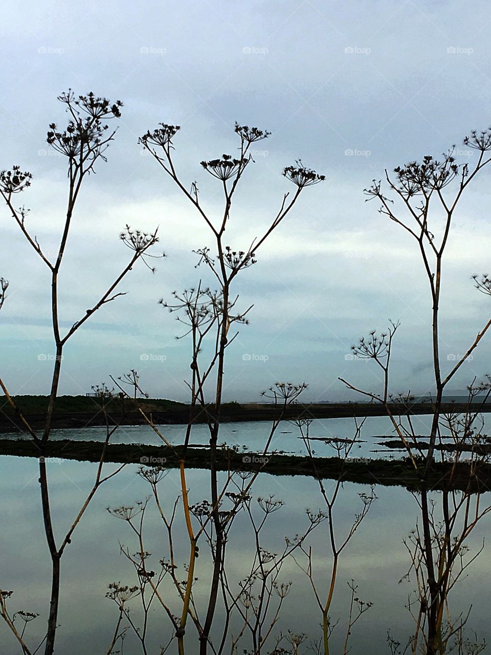 Playing with nature lights 