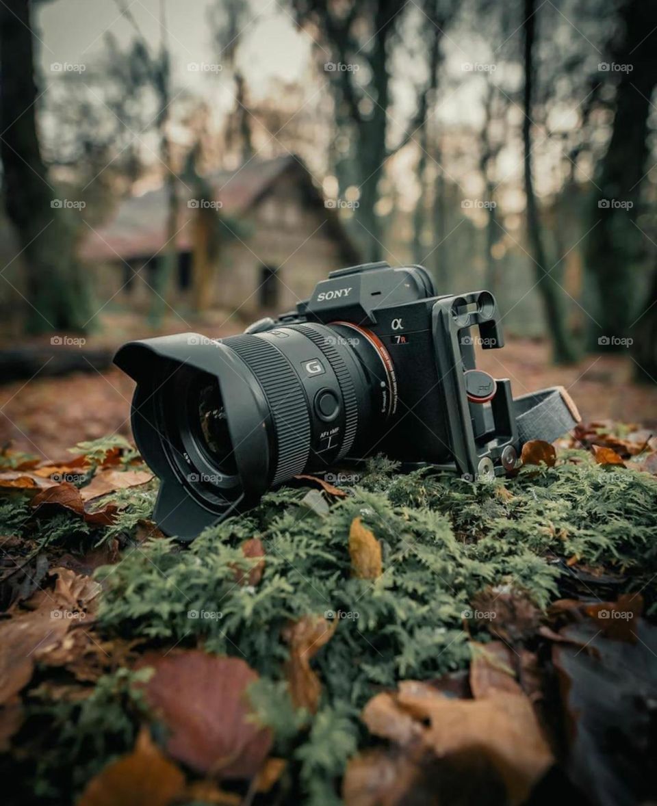 Some Fun With Camera