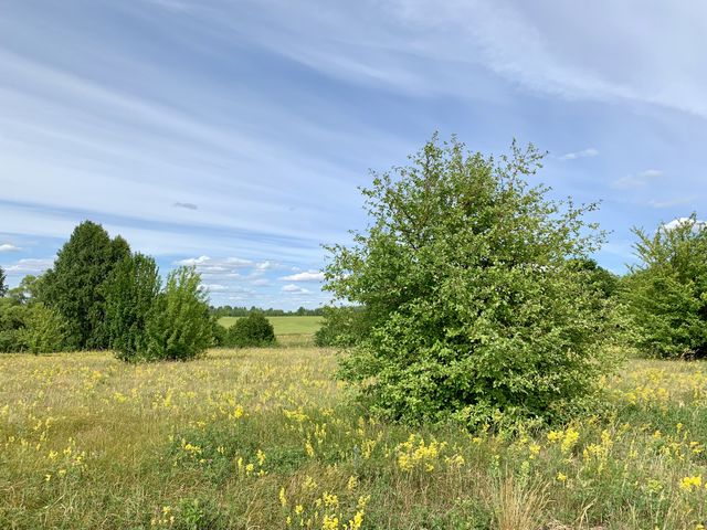 Summer sunny day