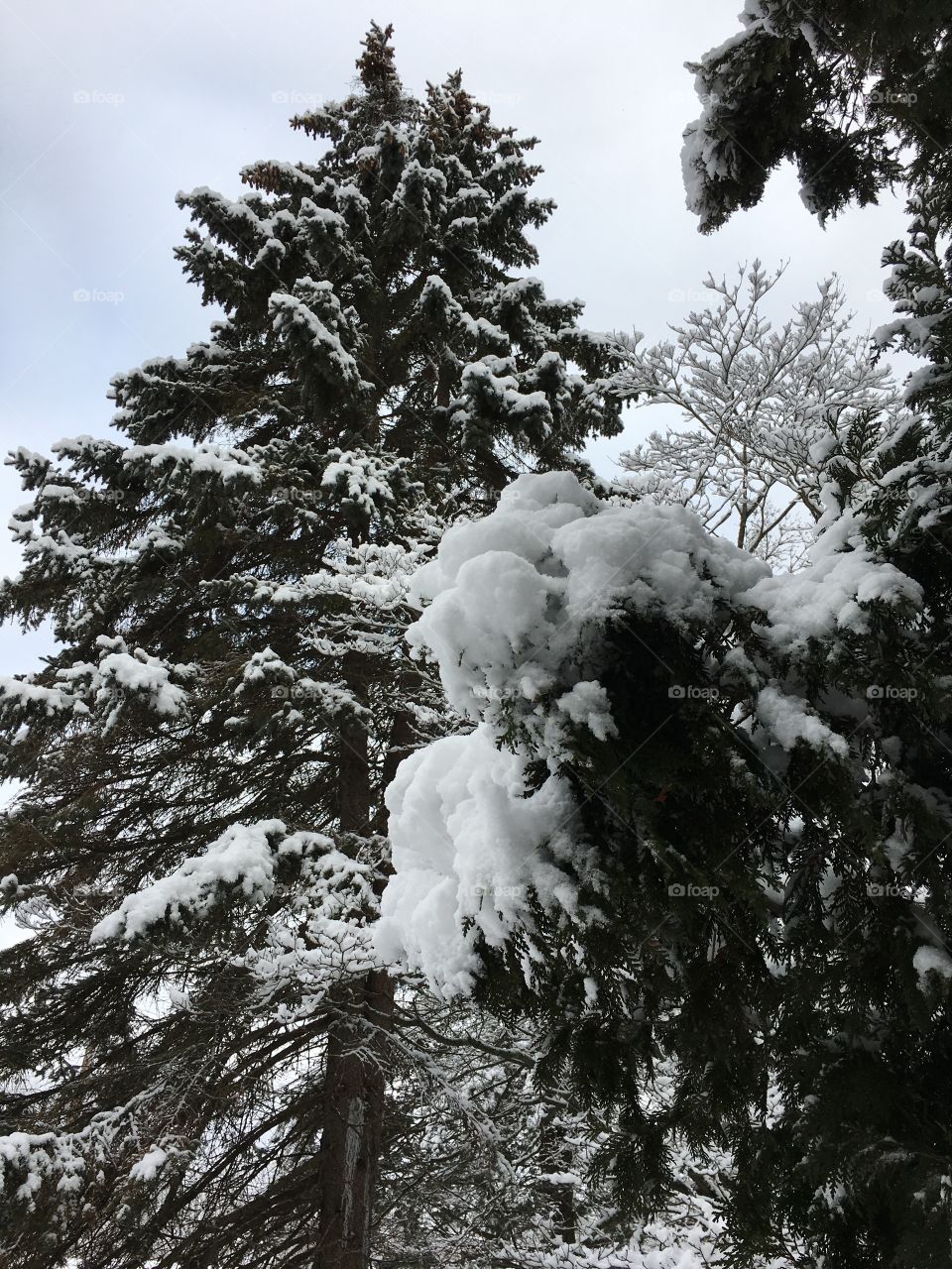 Snow in Connecticut - Feb. 2018