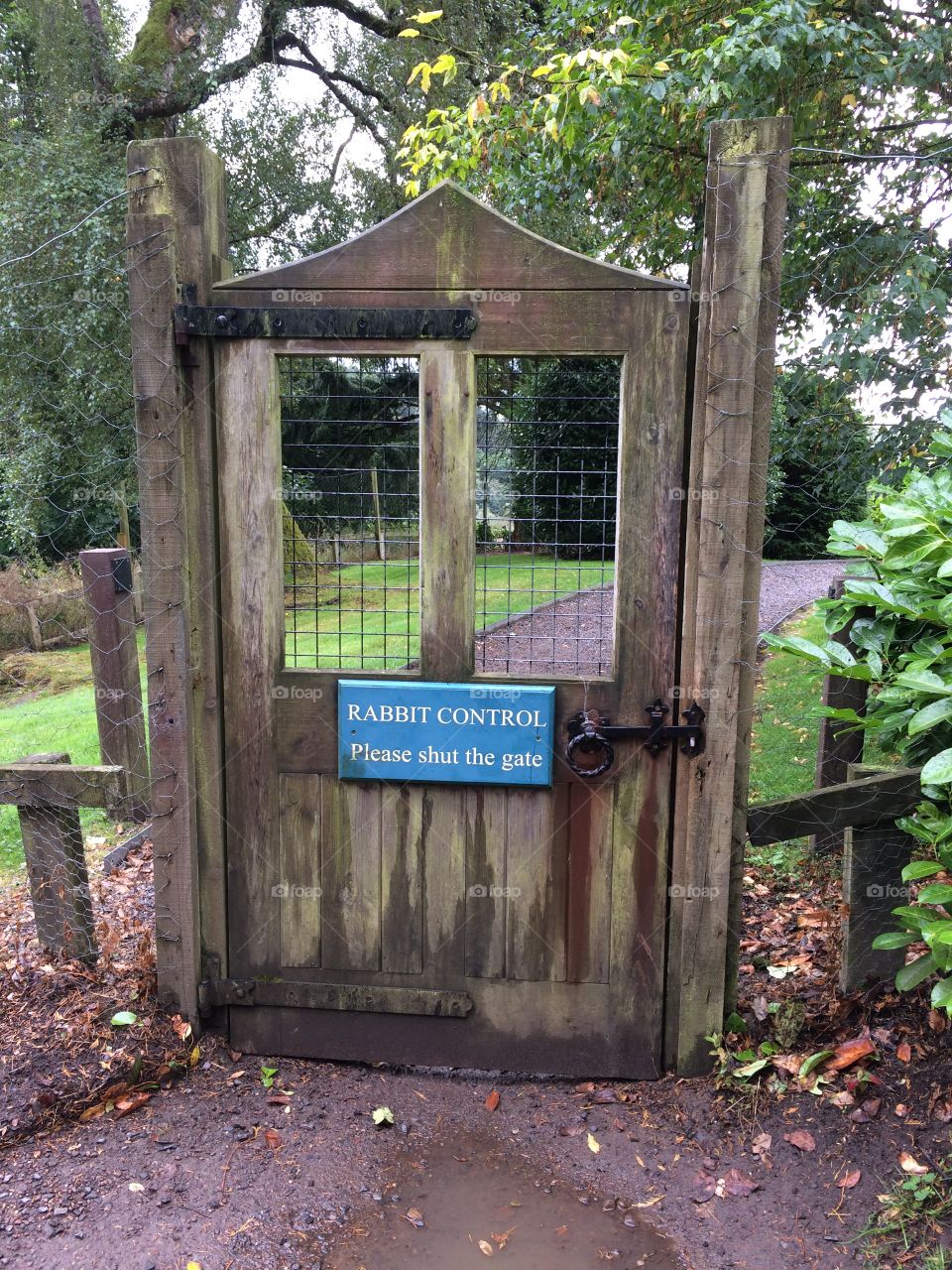 Rabbit, rabbit, rabbit