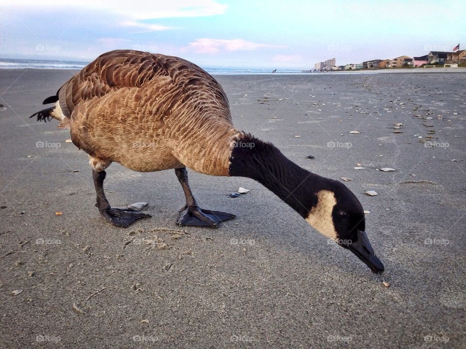 Oh, here's another one