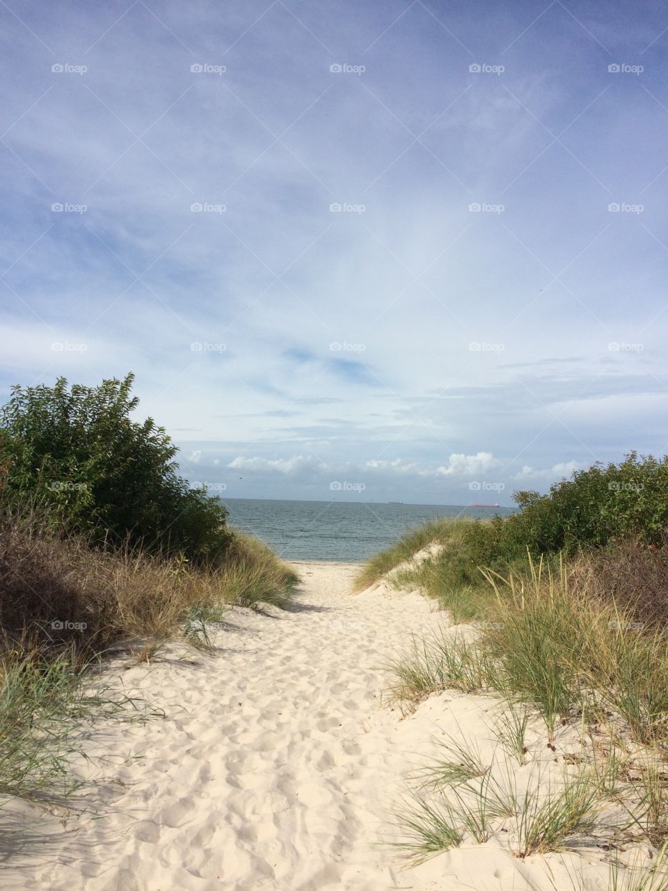 Beach Pathway