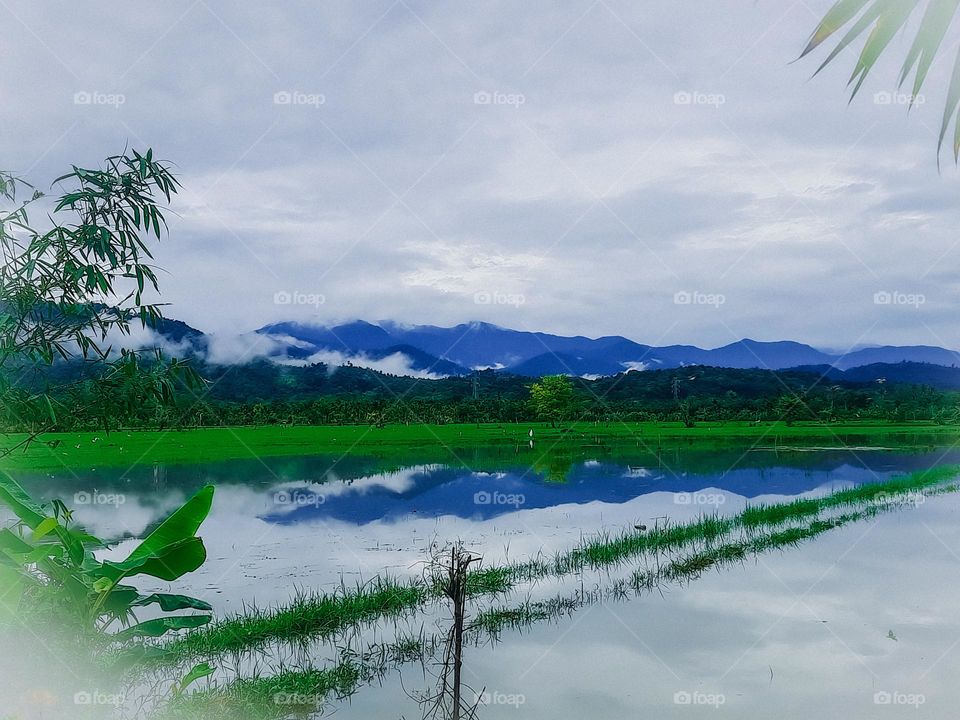 mobil landscape shot by Samsung M31
