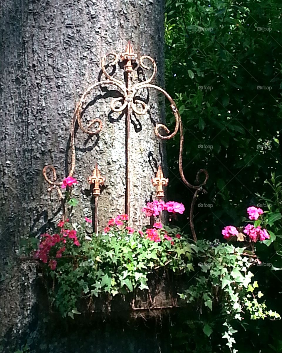 Picture that had to be taken