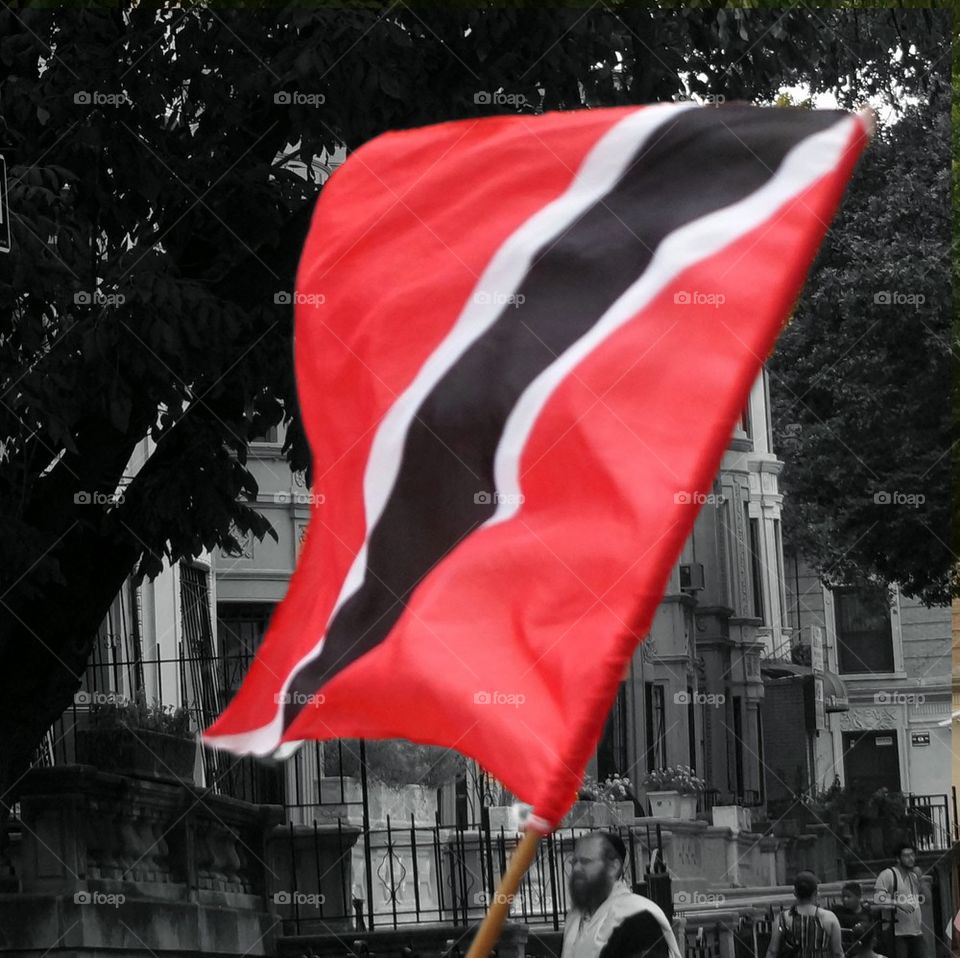 Trini Flag