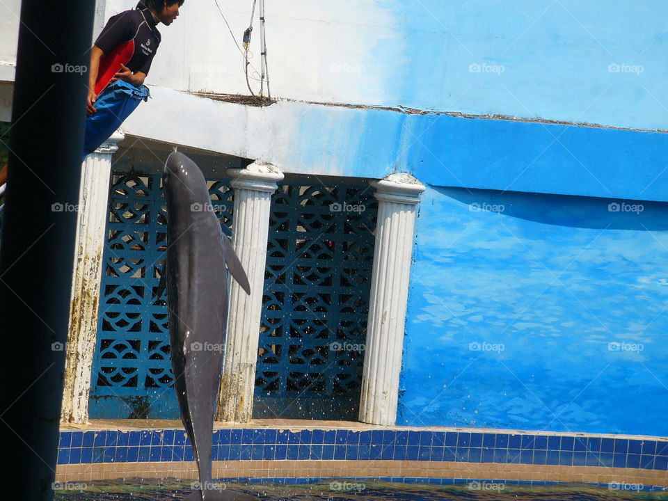 Architecture, No Person, Building, Window, Travel