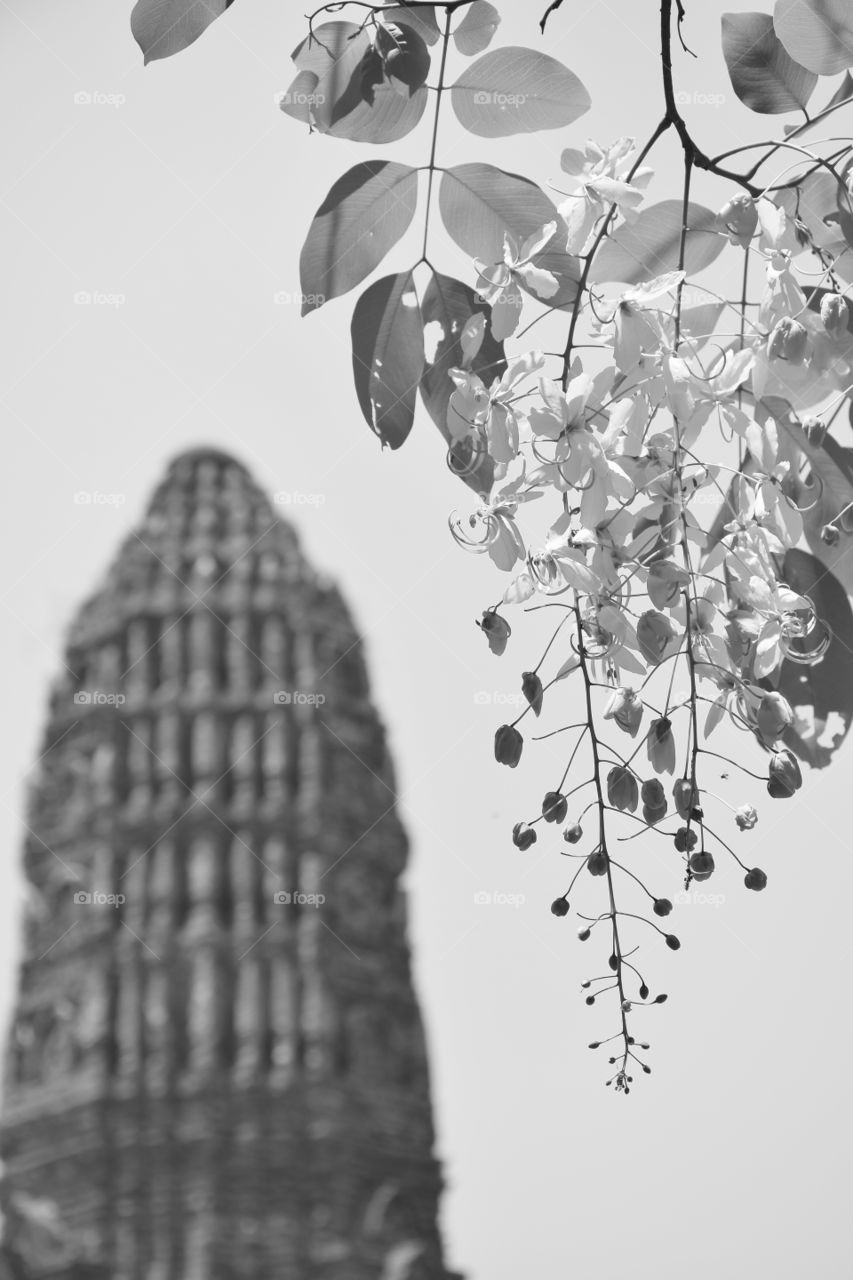 Ancient remains in temple. Ancient remains in temple