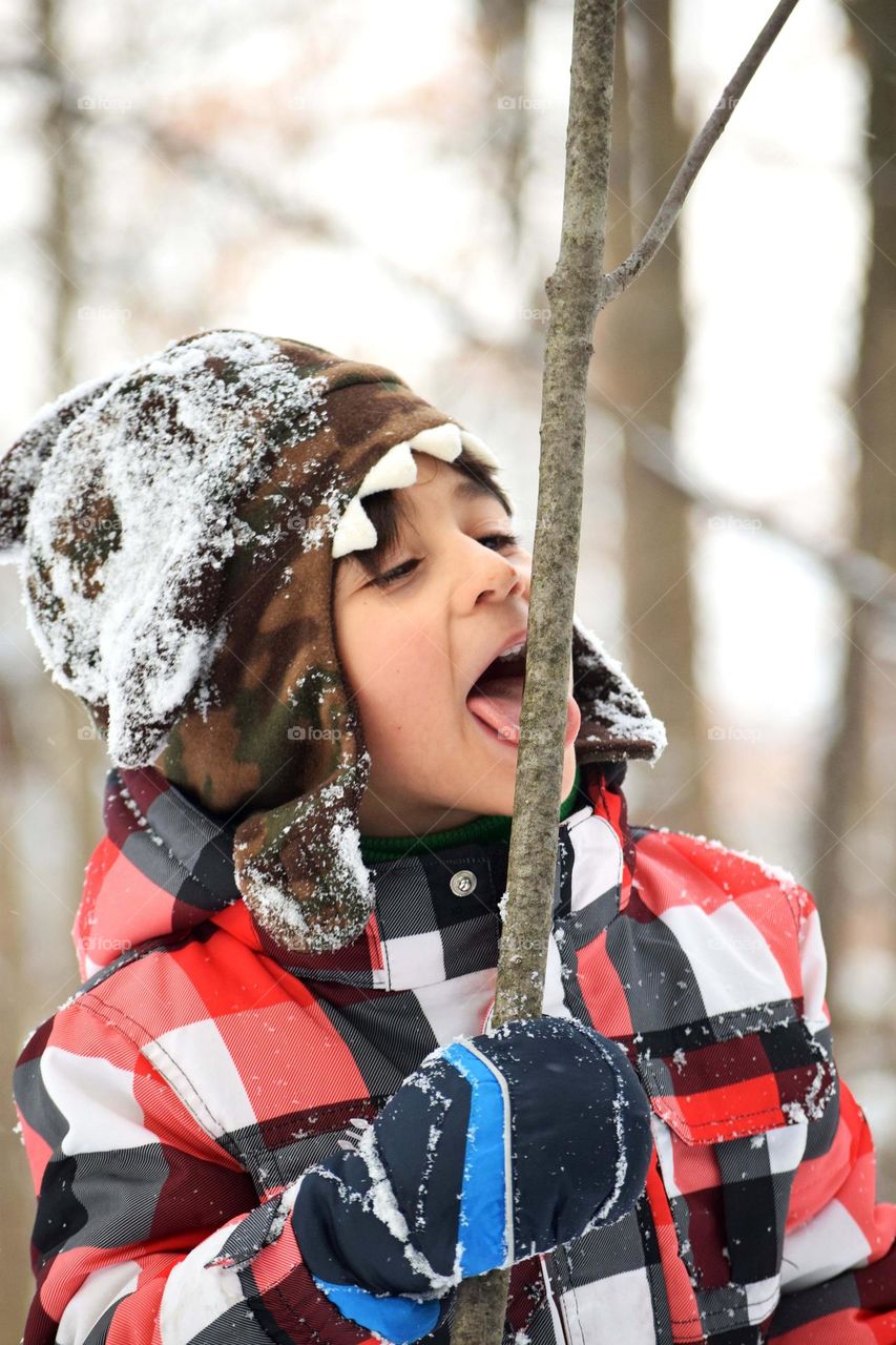 Child Licks Twig In Winter "ANOTHER CHRISTMAS STORY..." Lol