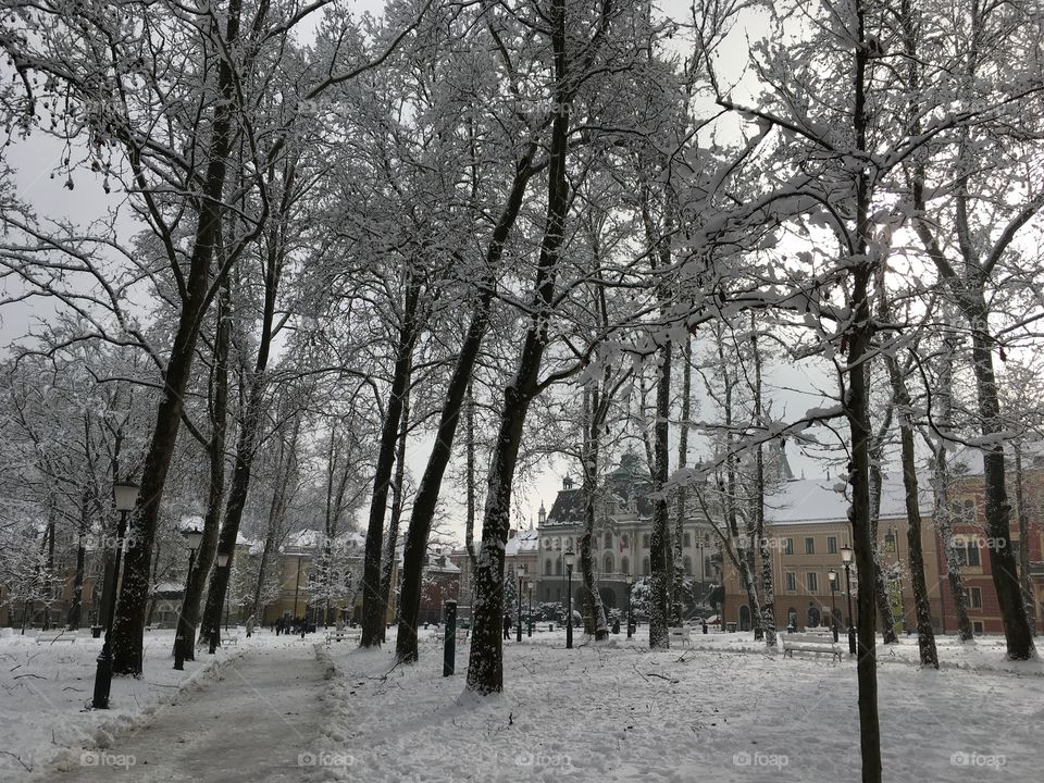 Winter park Ljubljana 