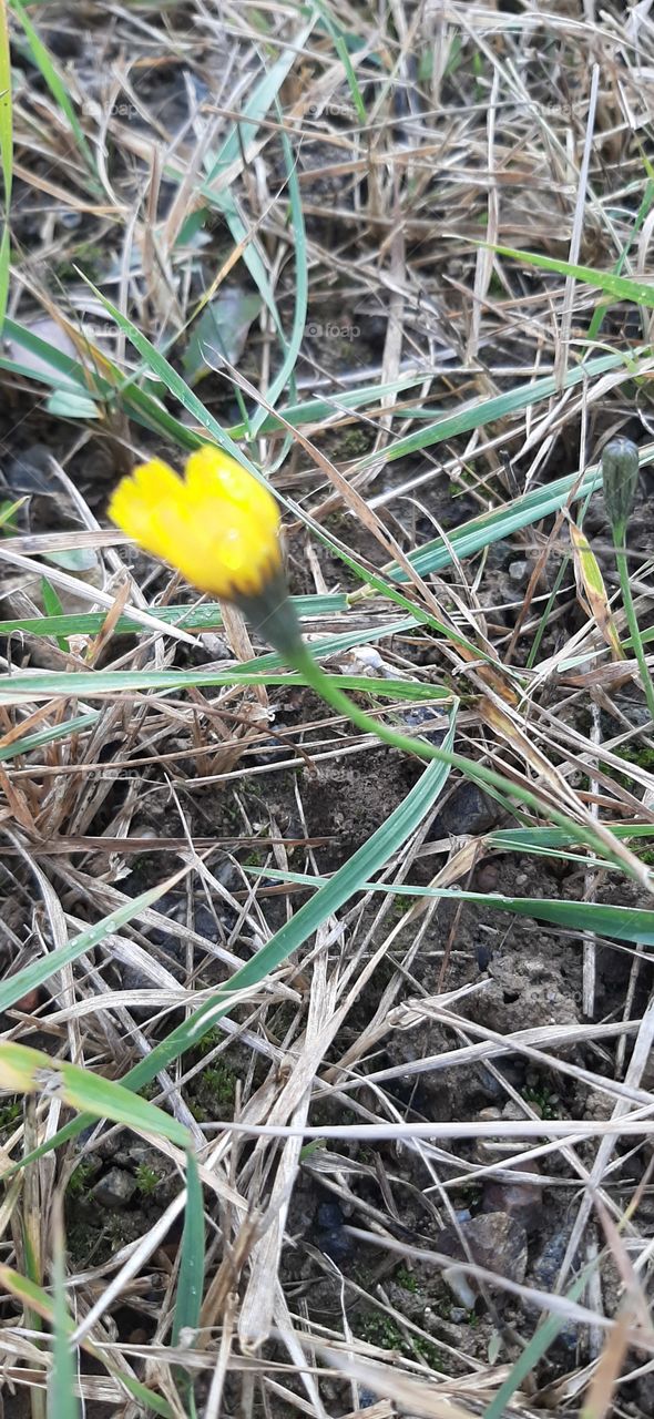 после  дождя