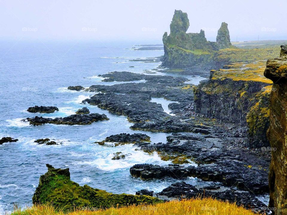 Iceland seashire