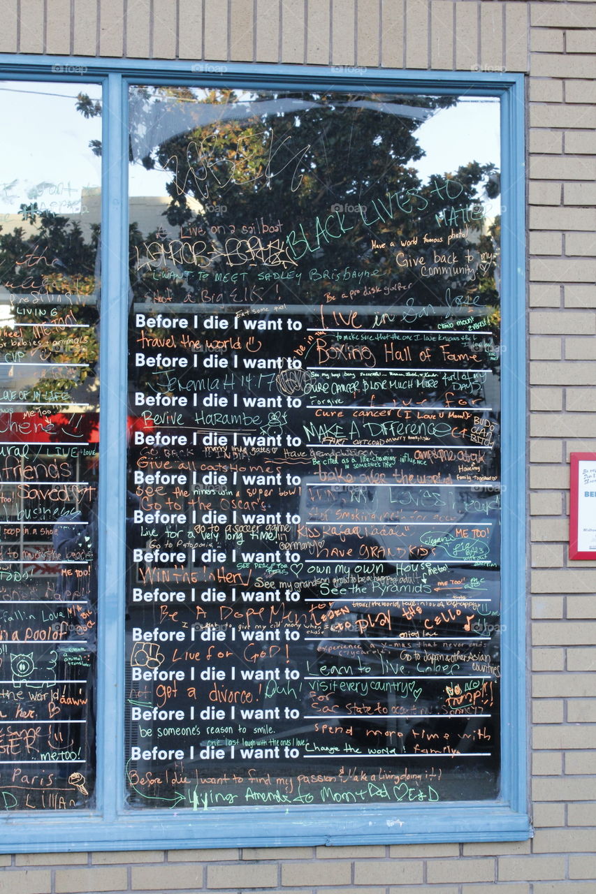 before I die I want to