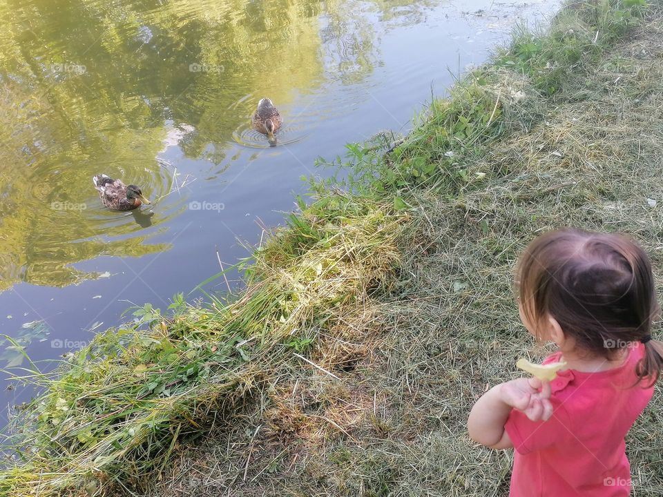 Promenade decouverte