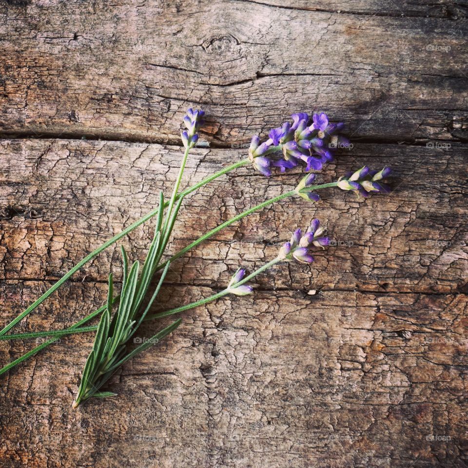 Lavender flowers on old wooden surface