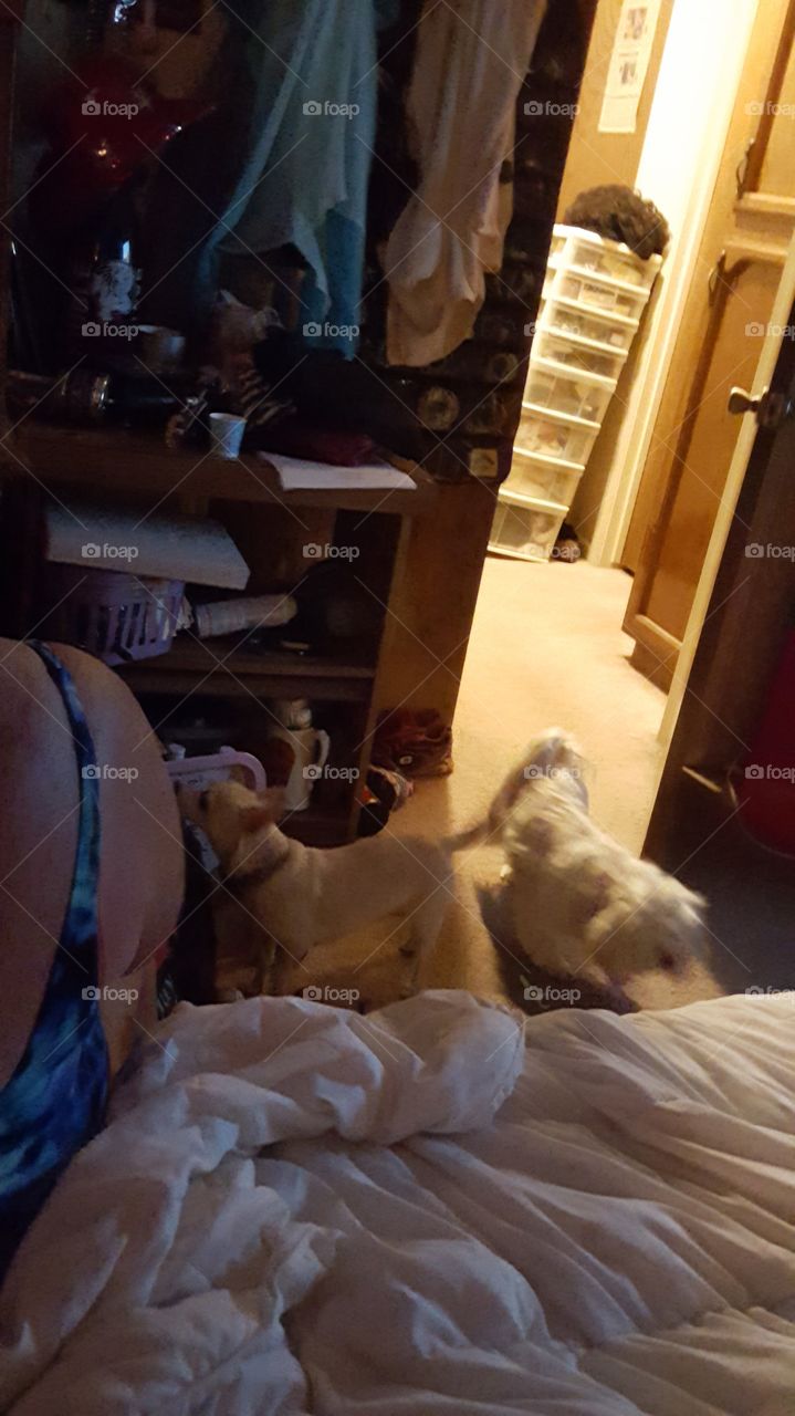 everyone runs from the camera