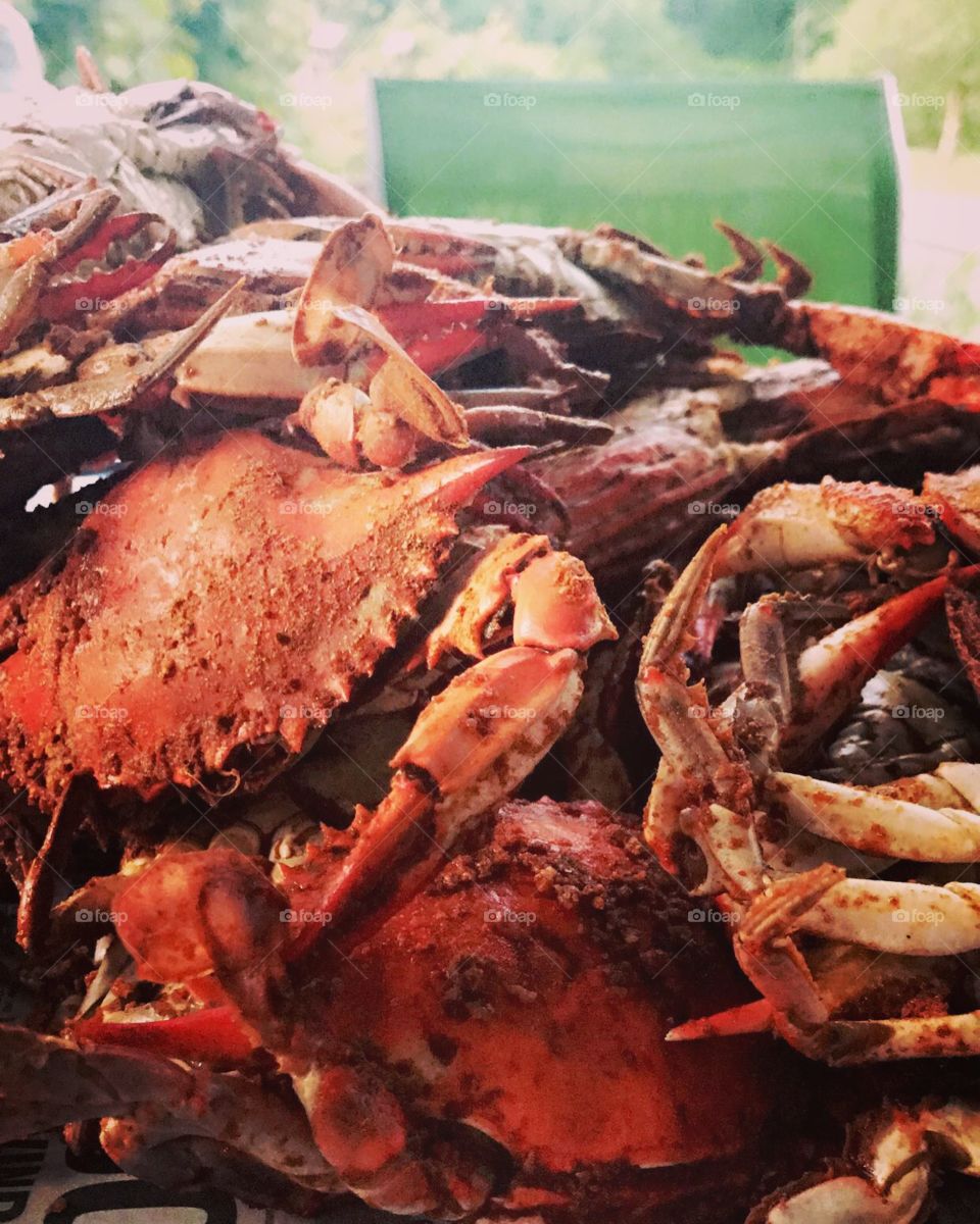 Baltimore Crabs