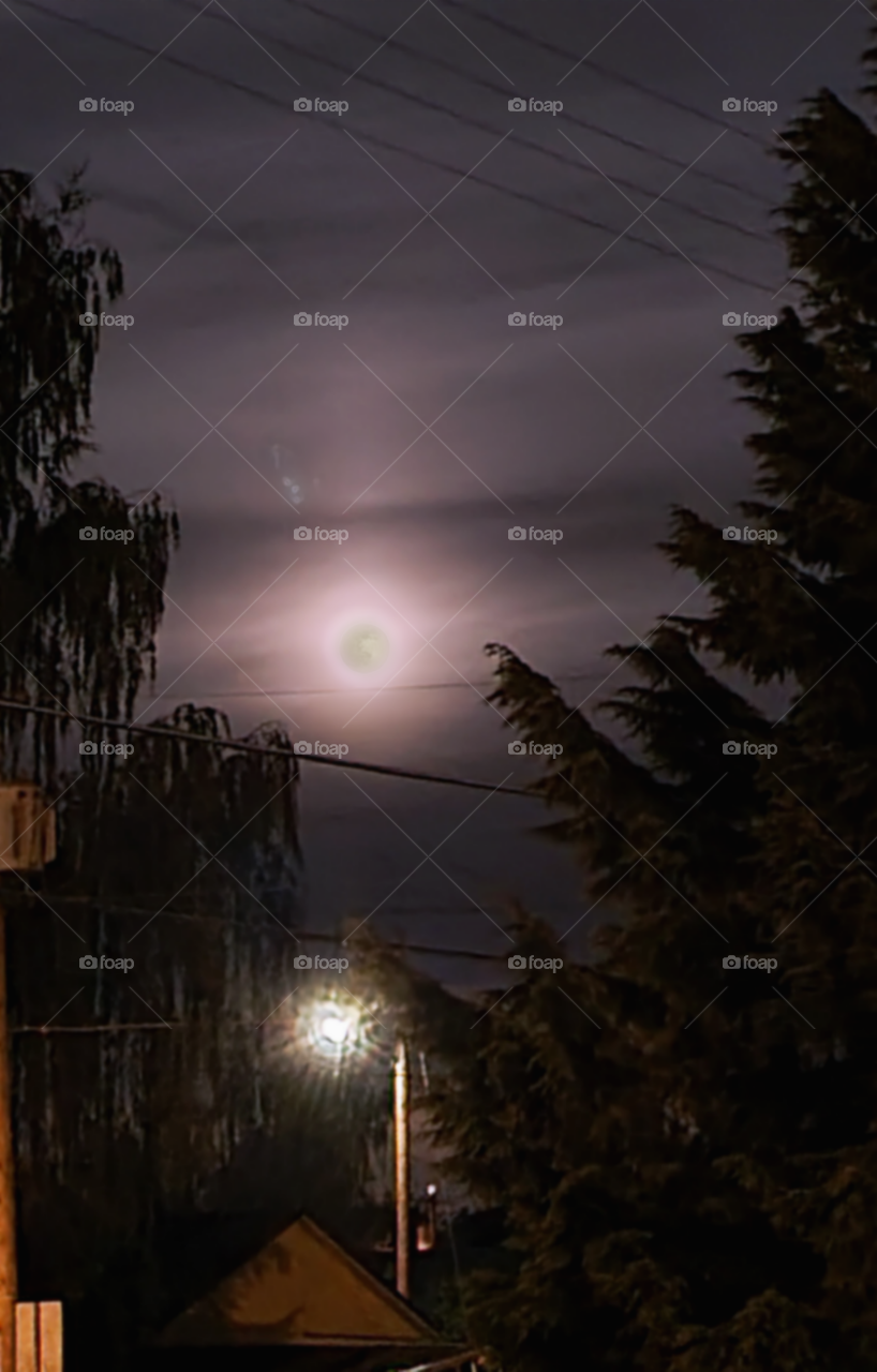 Moonlit cloudscape in the night sky