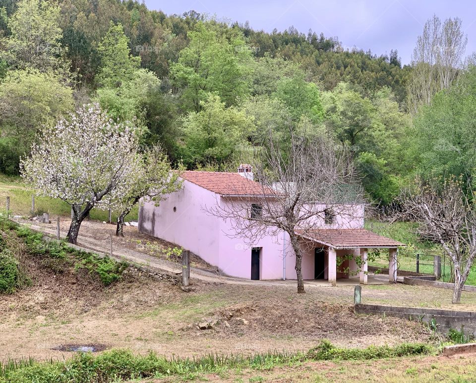 A pink building, with blossoming trees and surrounded by a green and rural landscape 