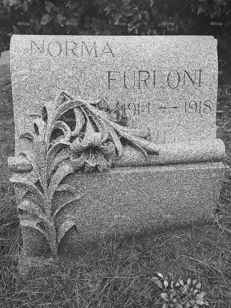 Broken Lily. Hope cemetery in Barre Vermont - incredible sculpture work on the headstones 

 