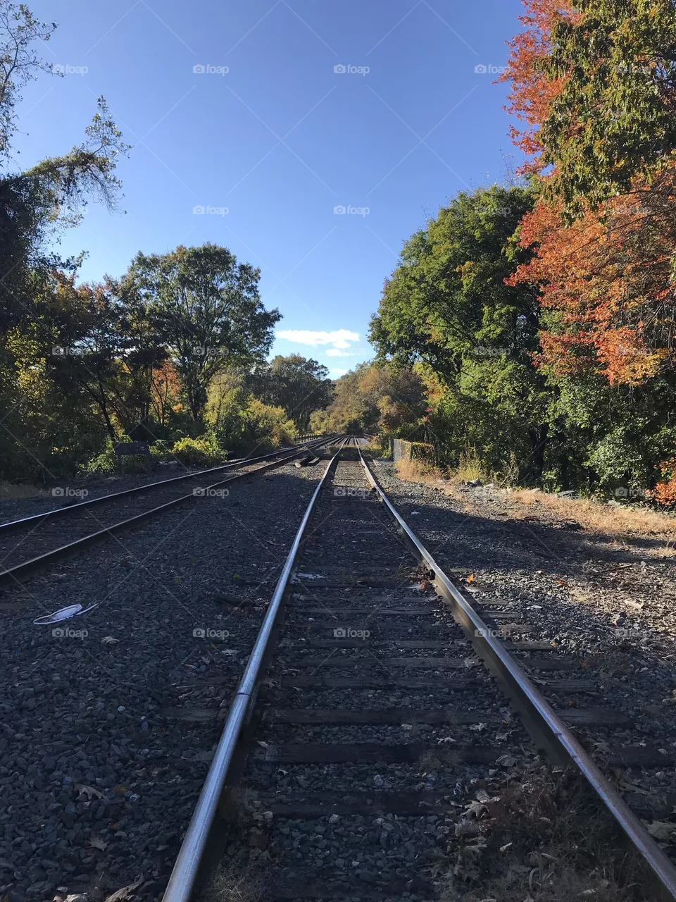 Train yard
