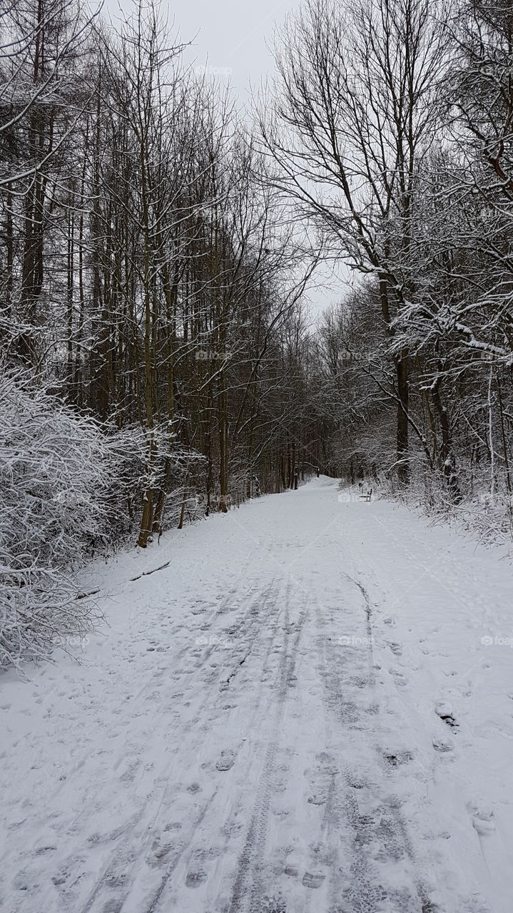 Winter road