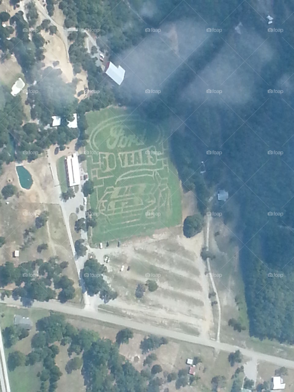 Ford Mustang corn maze
