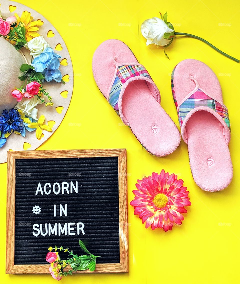 Perfect Summer with Acorn