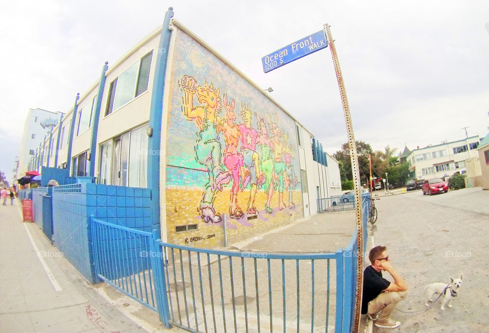 Venice beach wall art mural