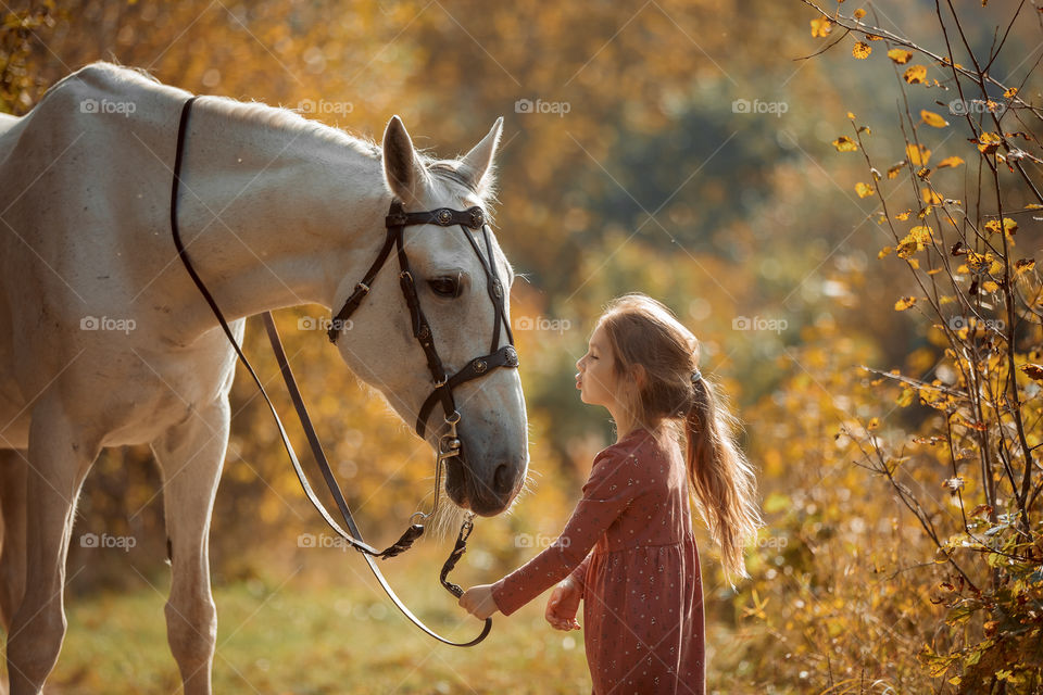 Little girl with grey horse in an autumn park 