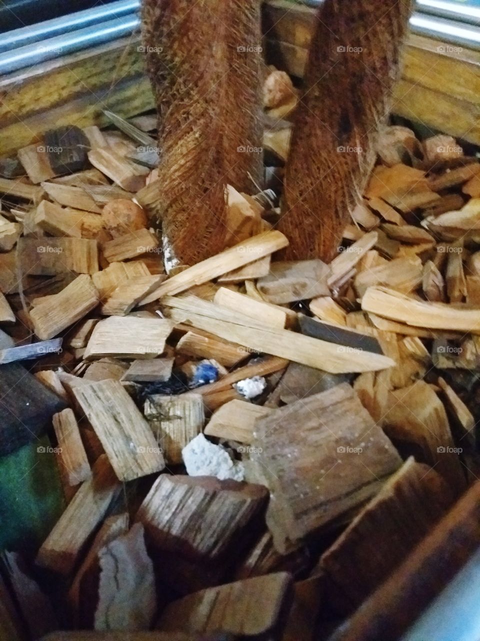 Wood, No Person, Wooden, Bark, Log