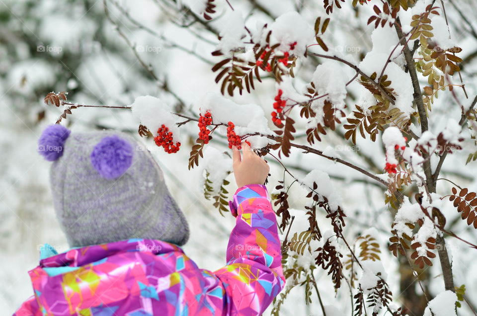 Rear view of girl taking berry fruit