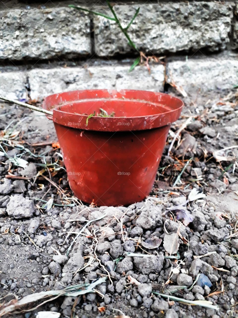 Potted Earth