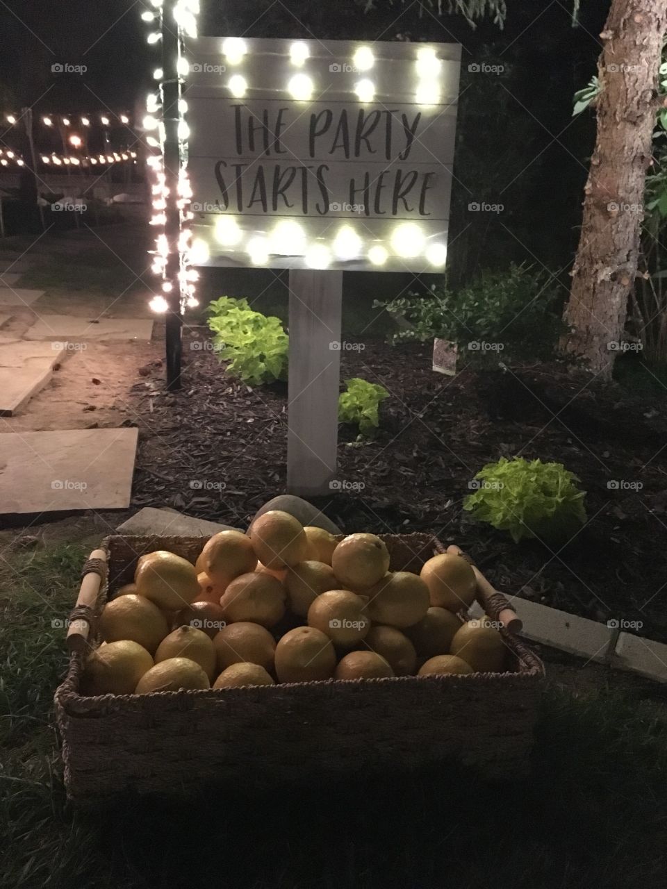 Wedding decor - lemons and party sign. Night time 