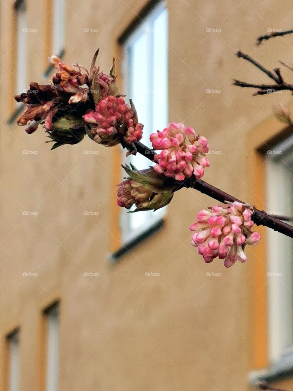 Spring is in the air