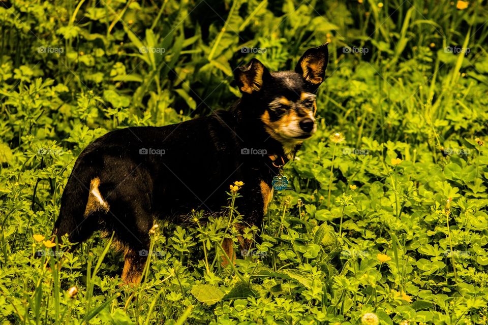 Uhmm..... did I mention I’m not good at posing