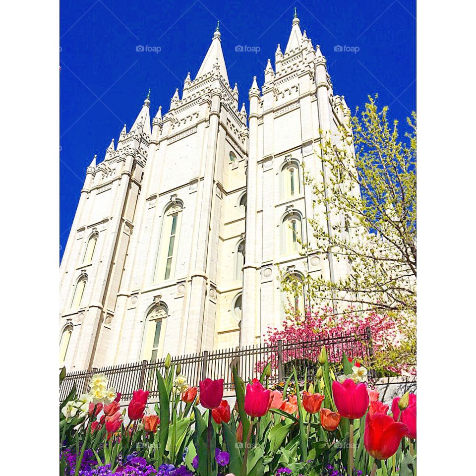 Spring at the Salt Lake temple