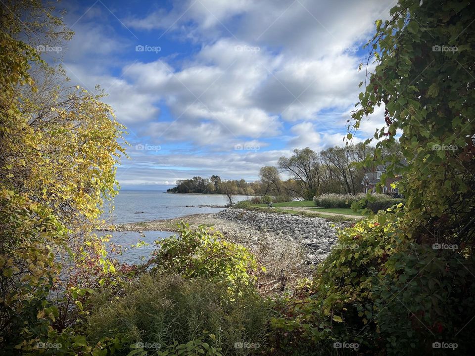 Collingwood Ontario trails nature walk , blue sky with clouds trees and Georgian bay 