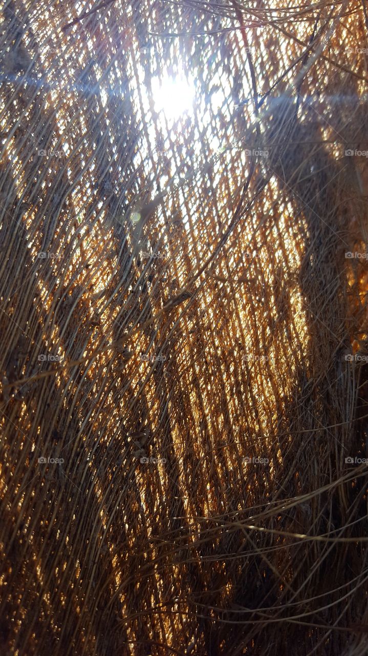 Creative texture -Fibra Cocô