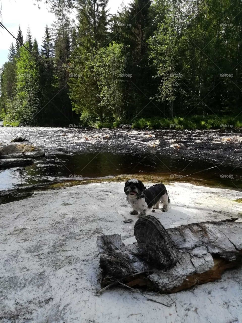 National park of finland