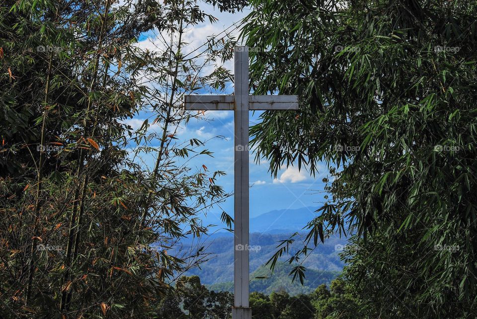 The cross in the bamboo forest